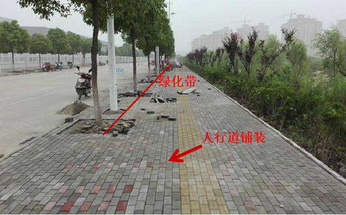 市政工程規(guī)范要求、識(shí)圖算量與施工工藝解讀